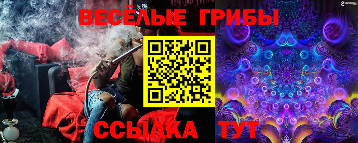 где можно купить наркотик  Вход с VPN  Новоалтайск  Галлюциногенные грибы прущие грибы  Галлюциногенные грибы Magic Shrooms 
